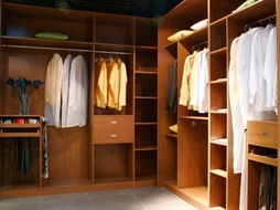 轩帝尼整体衣柜及衣帽间系列 金华专卖店产品分类与移门选购指南