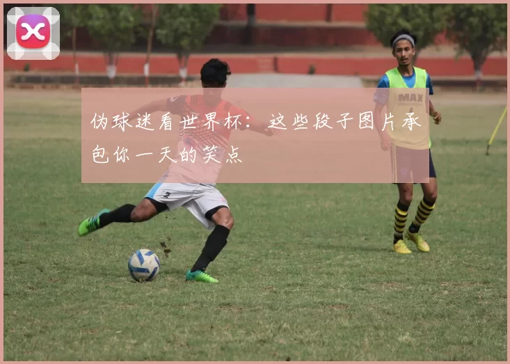 伪球迷看世界杯:这些段子图片承包你一天的笑点