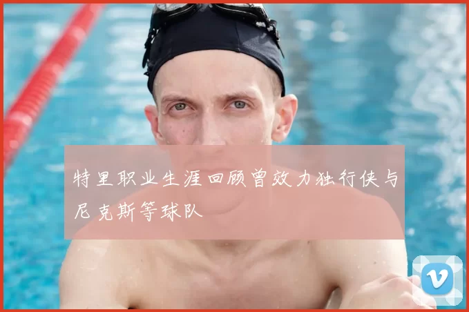 特里职业生涯回顾曾效力独行侠与尼克斯等球队