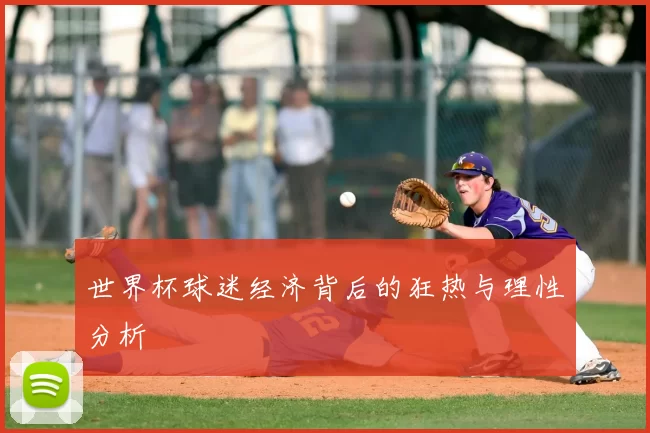 世界杯球迷经济背后的狂热与理性分析