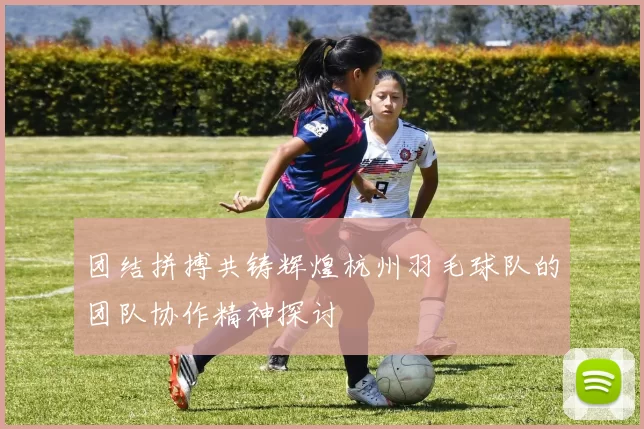 团结拼搏共铸辉煌杭州羽毛球队的团队协作精神探讨