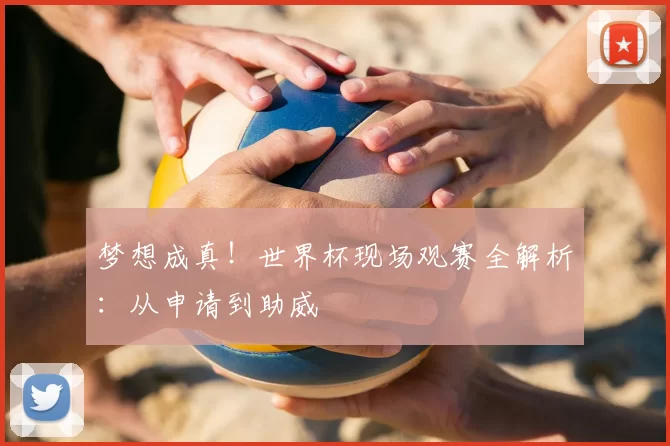 梦想成真！世界杯现场观赛全解析：从申请到助威