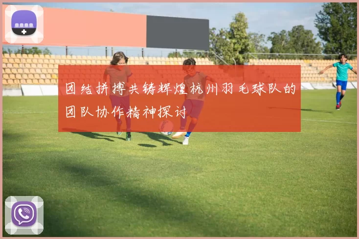 团结拼搏共铸辉煌杭州羽毛球队的团队协作精神探讨