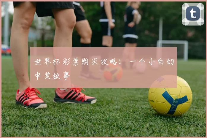 世界杯彩票购买攻略:一个小白的中奖故事