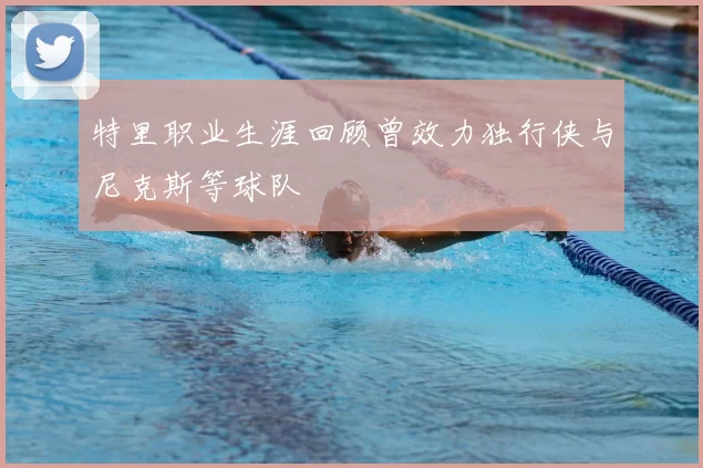 特里职业生涯回顾曾效力独行侠与尼克斯等球队