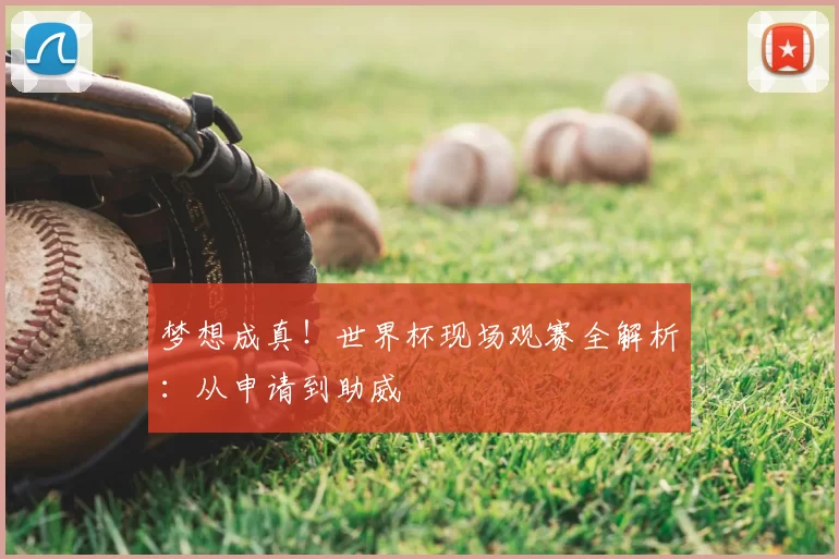 梦想成真!世界杯现场观赛全解析:从申请到助威