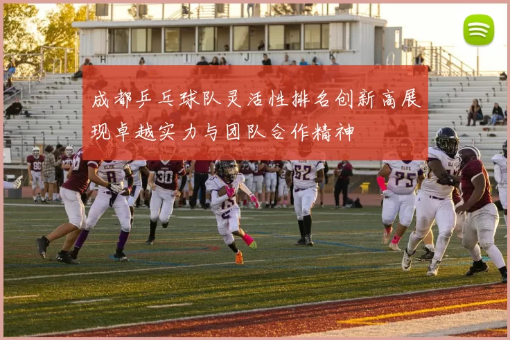 成都乒乓球队灵活性排名创新高展现卓越实力与团队合作精神