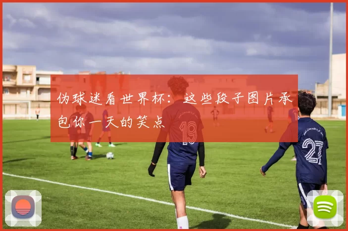 伪球迷看世界杯:这些段子图片承包你一天的笑点